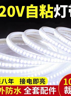 德国进口免驱动灯带LED灯条220v客厅吊顶自粘防水线性灯超亮家用