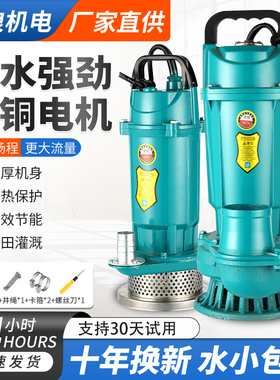 潜水泵220V家用高扬程大流量清水泵农用灌溉小型抽水泵深井吸水泵