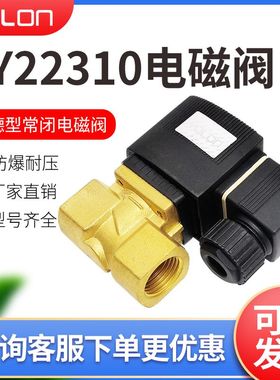 电磁水阀6分气油控制阀220v干洗机两通铜24V放水阀4分宝德型SY223