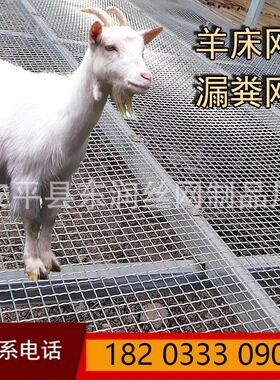 羊床漏粪网不生锈热镀锌钢丝养殖钢丝网羊R床钢网钢丝围栏网