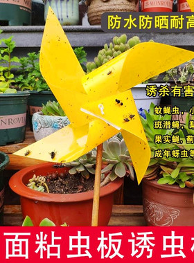 双面粘虫板诱虫板黄色杀沾果蝇A针蜂粘板灭小飞虫蓝板蓟马大棚果