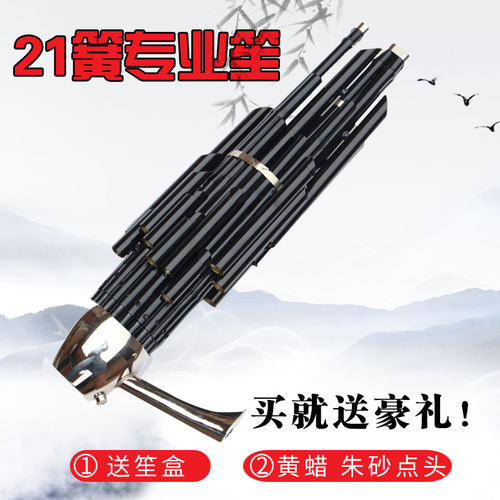 21簧笙扩音笙2q1簧扩音笙民族吹奏乐器演奏