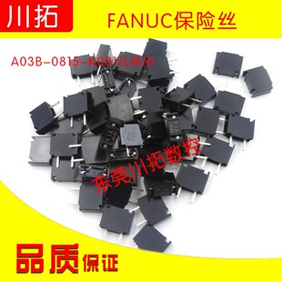 0815 全新原装 发那科 FANUC保险丝A03B LM10 K001