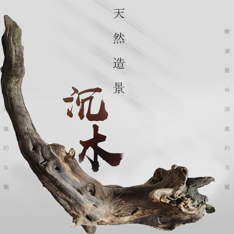 天然枯木头空气凤梨底座支架爬宠攀爬水族草缸鱼缸雨林缸造景枯木