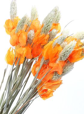 云南干花【含笑花】8色餐桌飘窗玄关客厅束插花组合Y装饰花小华店