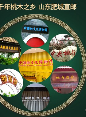 入户门遮挡白色桃木葫芦门帘珠帘C玄关过道屏风隔断化解门对卫生