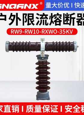 黔兴RXWO-RW9-RW10-35KV/0.5A-2A-10A户外陶瓷T型高压限流熔断器