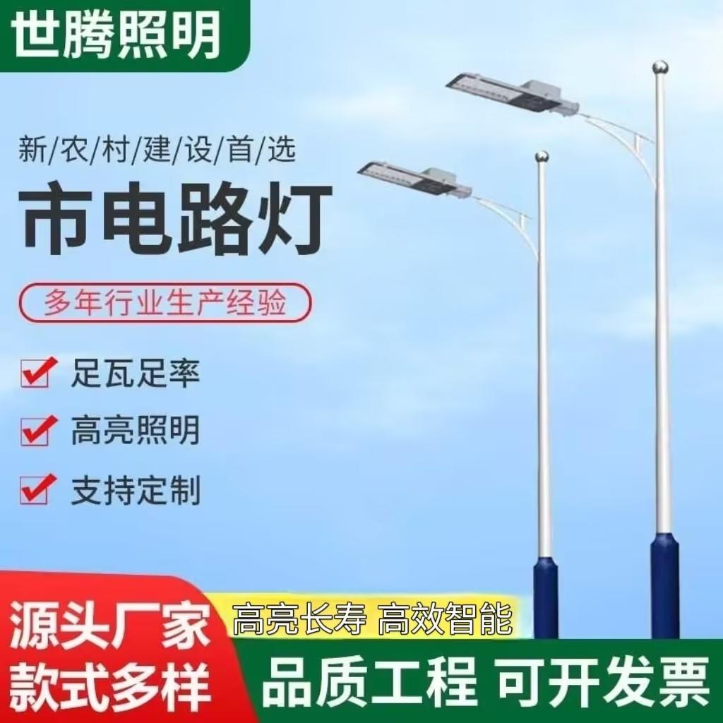 LED市电路灯新农村单臂双臂路灯杆6米户外防水市政道路照明高杆灯