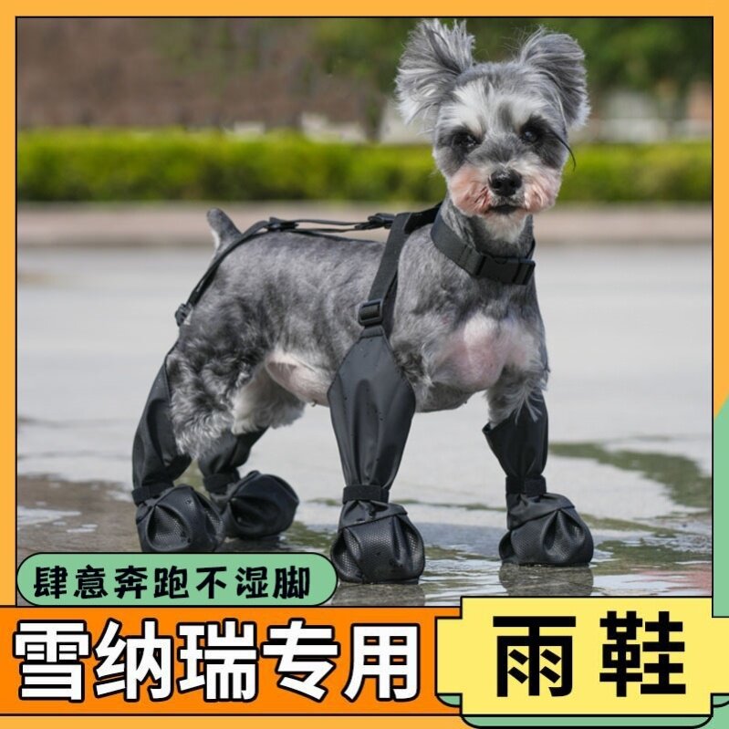 雨靴遛狗狗狗外出雨鞋狗狗鞋子小型犬雪纳瑞爪子鞋猫咪防滑