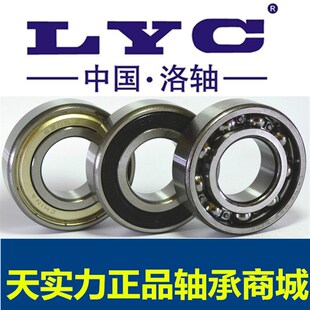 LYC洛阳轴承 6405 6406 6407 6408 6409 6410 6411 6412 6413 E