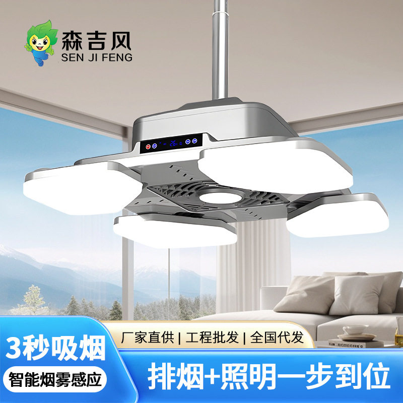 麻将灯棋牌室空气吸烟净化器遥控自动升降吊灯智能家居抽烟净化灯