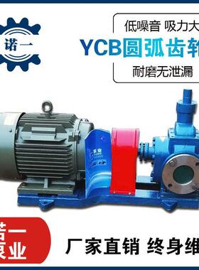 YCB圆弧齿轮泵 双圆弧油泵 增压喷射燃油电动卧式 噪音低无泄漏泵