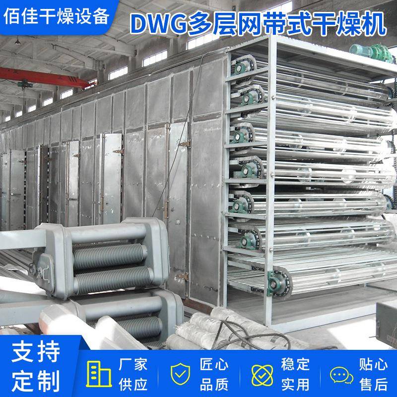 DWG网带式干燥机水果蔬菜农产品脱水烘干机多层带式干燥机厂家