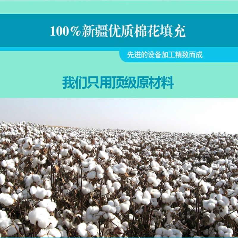 新疆长绒棉花被芯天o山雪域棉胎冬被棉絮垫被千层无网棉被芯