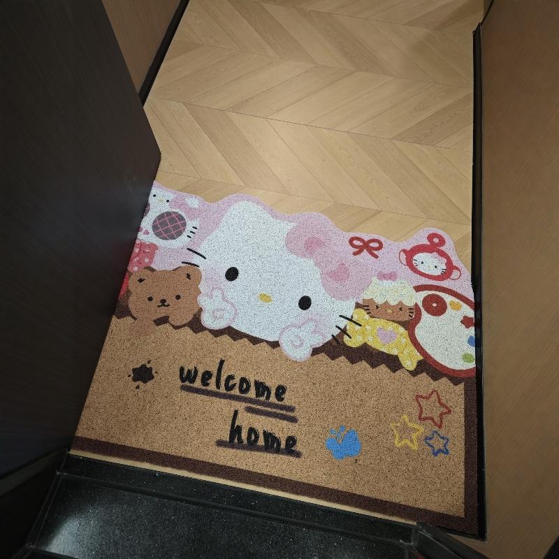哈喽kt入户门地垫门口耐脏防滑进门脚垫丝圈家用玄关门垫2025新款