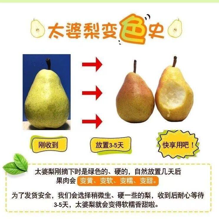 甘肃天水高山老树香蕉梨软糯香甜太婆梨产地直发多汁水果梨子正宗