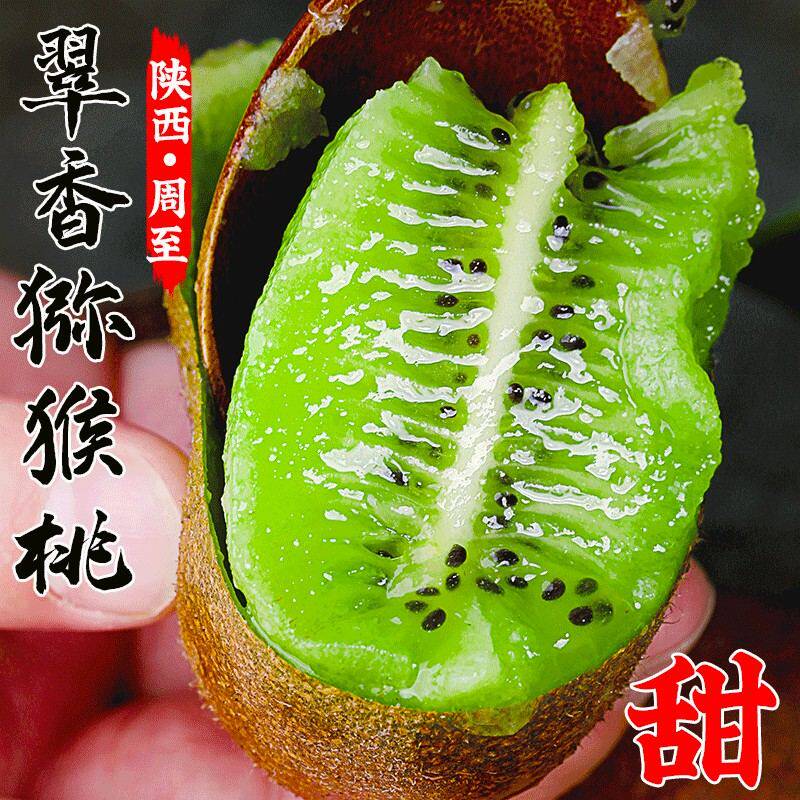 【山居小齐】陕西周至翠香猕猴桃(终南山古楼观历史文化景区门票