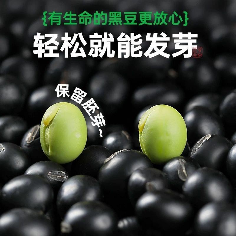 【25年新粮】东北绿芯黑豆  打豆浆专用可发芽 黑土地种植 可试吃