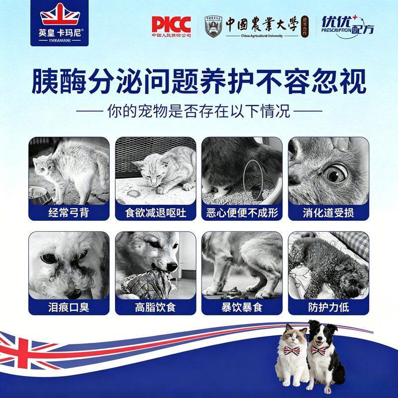 英皇宠物肠胃宝猫狗消化酶益生菌助消化双拼鸡肉冻干狗狗胰宝片