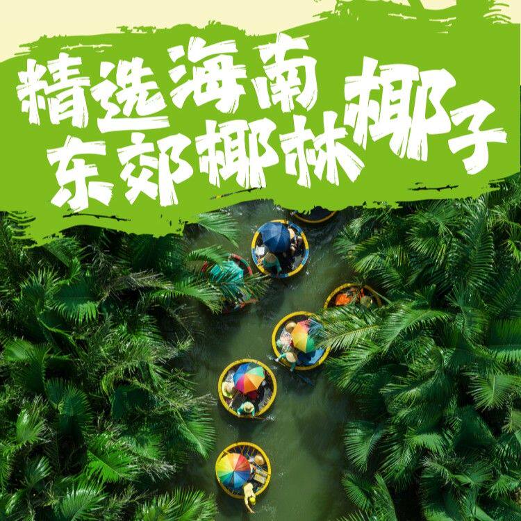 【爆!】春光 海南特产椰子角 鲜果厚切风味浓厚嚼劲老少皆宜Z