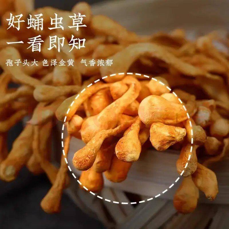 【中秋】深山头茬蛹虫草人工精选金虫草花炖汤土特产