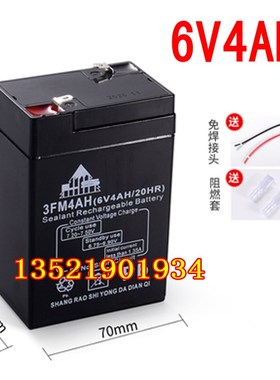 LS电池 3FM4AH (6V4AH/20HR) 耀华电子称电池 台秤 快递称蓄电池
