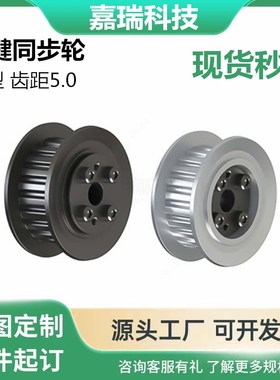 ECH01 11 21 31-T5100 150 200 250-22 36 48 5 60 -E F-d 同步轮