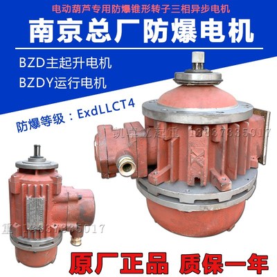 南京起重电机总厂BZDY ExdIICT4Gb防爆锥形转子三相异步电动机