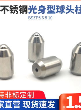ZAL35不锈钢重载型光身型球头柱塞 无牙定位珠 弹弓顶销BSZP5 6 8