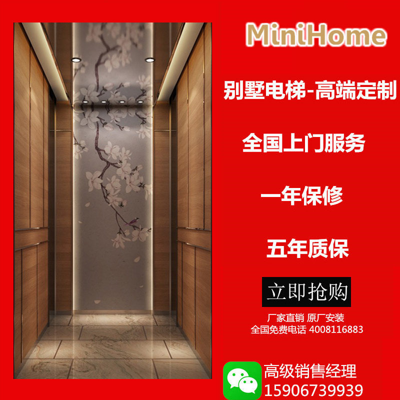 贵阳家用电梯小型电梯别墅电梯三层四层电梯观光电梯客货两用电梯