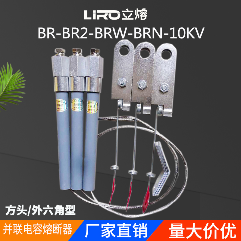 高压并联熔断器电容保护器BR2-BRW-BRN-10A12KV/15A25A60A70A80A