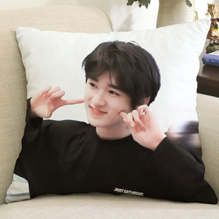 宋亚轩周边定制抱枕时代少年团刘耀文同款海报玩偶生日礼物靠垫