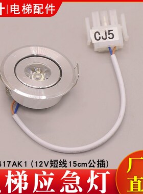 电梯应急灯XAA417AK1轿厢照明灯306-11圆筒灯DC12V适用西子奥的斯