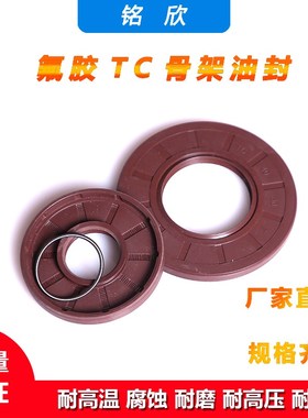 氟胶骨架油封12.54/17.48/25*25.48*28.58*60*65*72*6.35/7/8/10