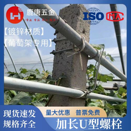 葡萄架加长螺栓镀锌圆管配套卡箍抱箍碳钢钢管定制U型卡带挡板