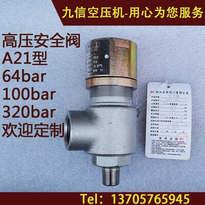 安全阀A21H-64C/100C/320公斤外丝口螺纹超高压dn152025 立特LITE