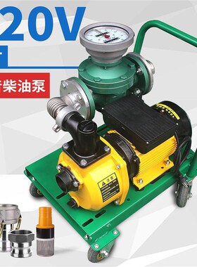 220V计量柴油抽油泵油桶60L-120L大流量加油泵铜芯车载汽油柴油