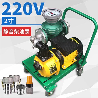 220V计量柴油抽油泵油桶60L-120L大流量加油泵铜芯车载汽油柴油