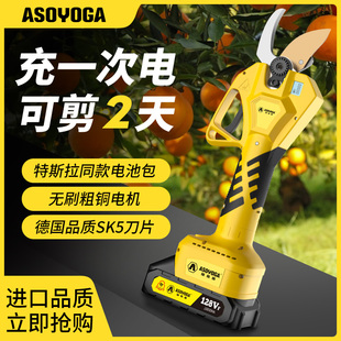 果树专用德国锂电电动修枝剪剪梨树树枝剪枝剪刀电剪子充电式家用