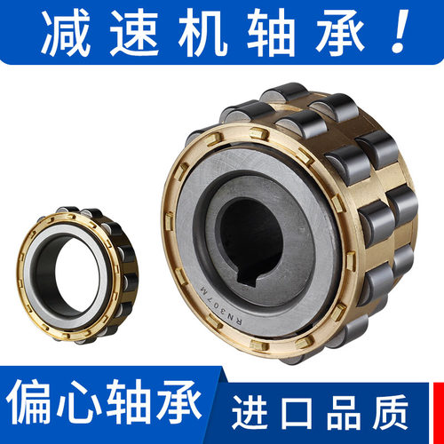 减速机偏心轴承套整体摇摆RN307 206 309加厚双偏心205进口品质