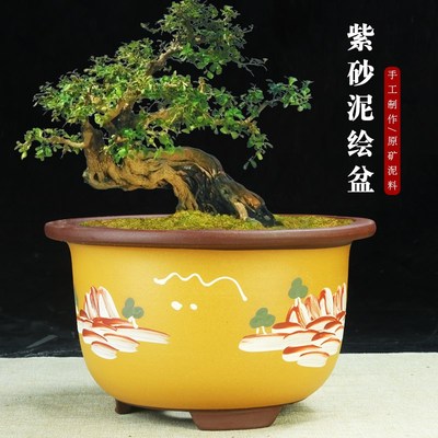 宜兴紫砂兰花盆泥绘特大圆口径盆景盆特价清仓多肉老桩绿植陶瓷盆