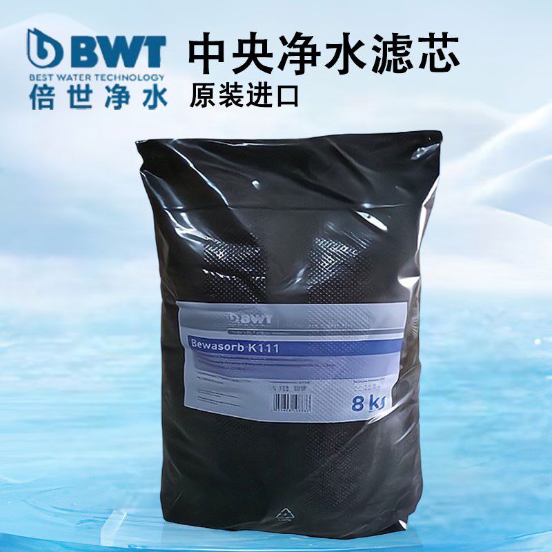 BWT倍世中央净水器活性炭通用水丽Cillit更换耗材原装碳棒滤芯