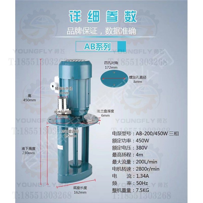 上海泽申AB-100 AB-200 DB-100 DB-200功率250W 450W三相电泵