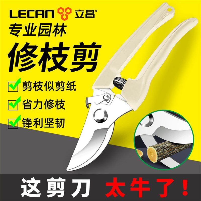 修剪树枝剪刀园艺剪刀修枝剪果树剪树枝专用剪花修花卉花艺大剪子