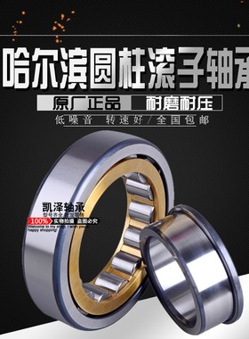 哈尔滨圆柱滚子轴承N NU NJ NUP203 204 205 206 207 208 209 EM