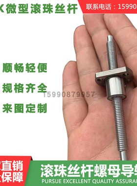 微型滚珠丝杆 研磨小型小导程SFK0801 0802 0802.5 1002 1004定制
