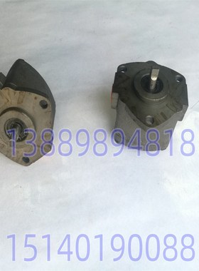 沈阳数控机床 EL6140 中捷镗床 TPX6113 南京贝奇尔 油泵 SBRB-6