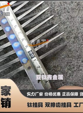 亚钛鑫纯钛电镀氧化喷涂挂具 电解120*650双排齿鱼骨架钛条钛挂具