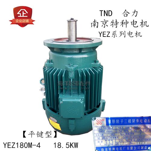 南京特种电机YEZ180M-4 18.5KW锥形三相异步电动机立式独平键电机