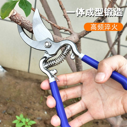 果树修枝剪树枝专用花艺花卉枝剪子剪枝园林工具花剪修剪园艺剪刀